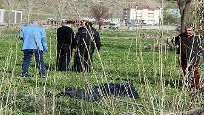 Çalıştığı tarlada ölü bulundu