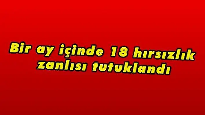 Bir ay içinde 18 hırsızlık zanlısı tutuklandı