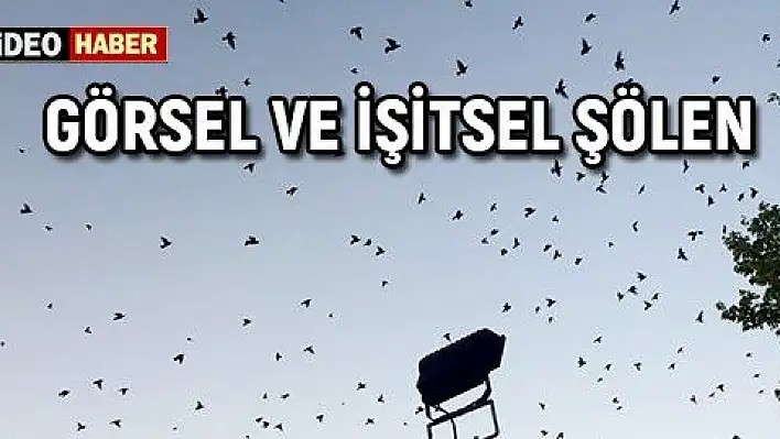 Kırlangıçlardan görsel ve işitsel şölen