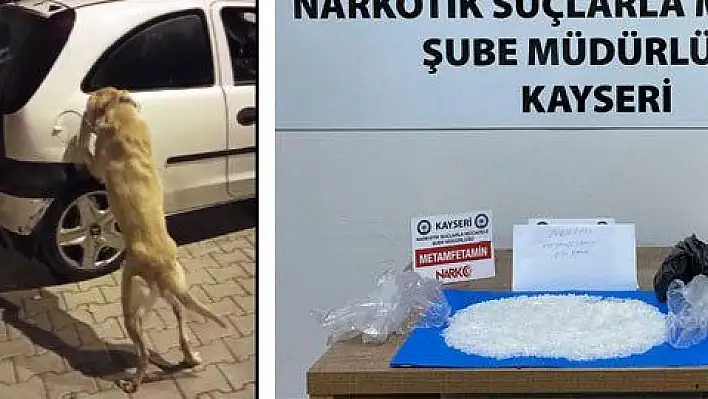 Narkotik köpeği uyuşturucuyu tırnaklarıyla buldu