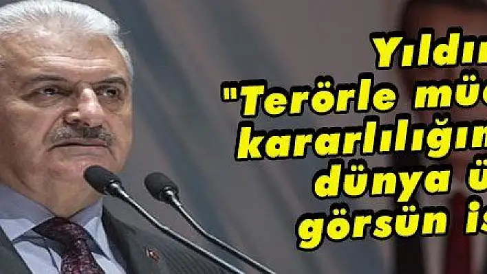 Yıldırım: 'Terörle mücadeledeki kararlılığımızı bütün dünya ülkeleri görsün istiyoruz'