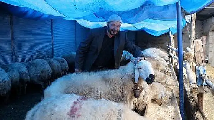 Kentten köye göç edip devlet desteğiyle hayvancılığa başladı