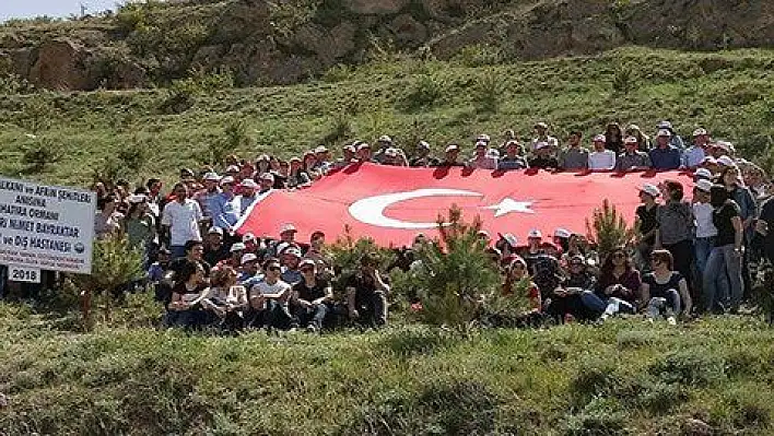 Şehitler anısına 10 bin fidan dikildi