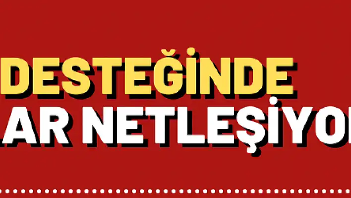 Hibe desteğinde detaylar netleşiyor