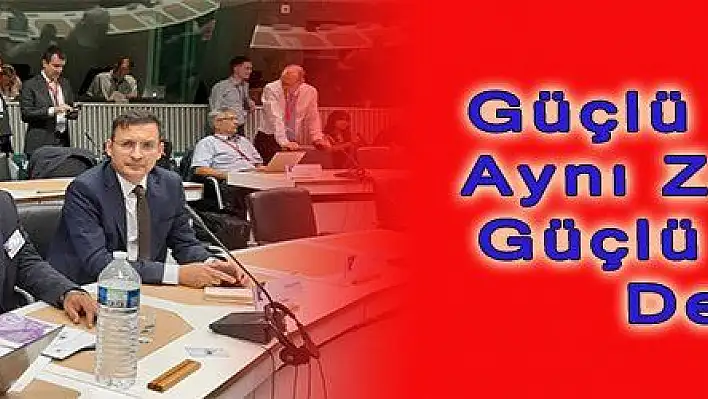 'Güçlü Türkiye Aynı Zamanda Güçlü Avrupa Demek'