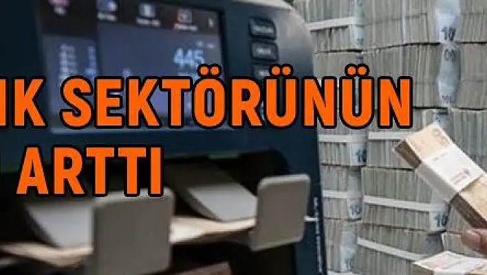 Bankacılık sektörünün mevduatı arttı