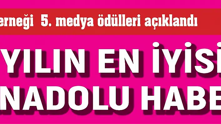 ANADOLU HABER, YILIN EN İYİ YEREL GAZETESİ SEÇİLDİ