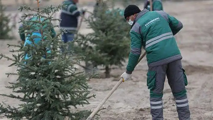 Kocasinan'da mesai ağaç dikimiyle başladı