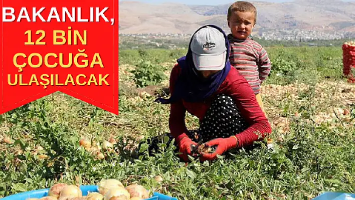 ÇOCUK İŞÇİLİĞİ İLE MÜCADELEDE YENİ PROJE