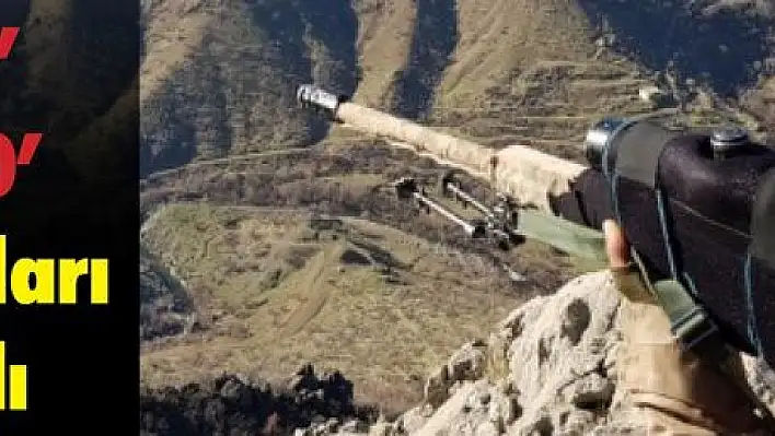 Şırnak'ta 'Kıran-9', Hakkari'de 'Kıran-10' operasyonları başlatıldı