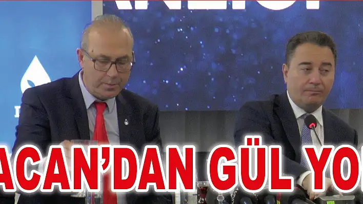 Babacan'dan Gül yorumu