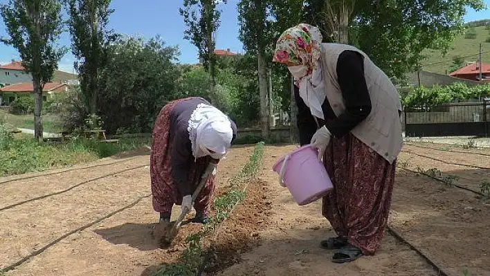 Çiftçi kadınlar pandemide de üretmeye devam ediyor