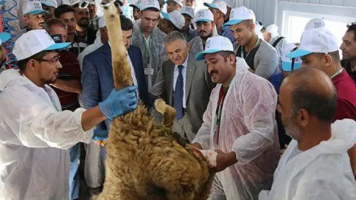 Melikgazi Belediyesi'nden Kurban Kesim Kursu 