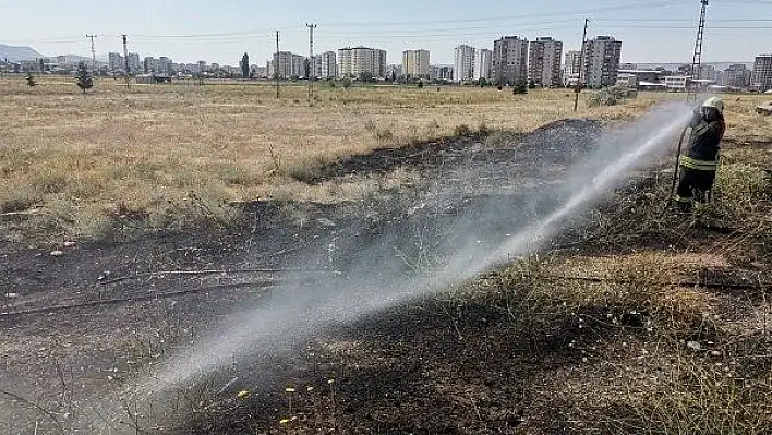 Kargalar yangına neden oldu