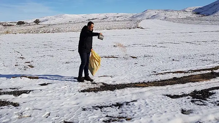 Aç kalan kuşlar için 85 kilometre giderek aralıklarla yem bıraktı 