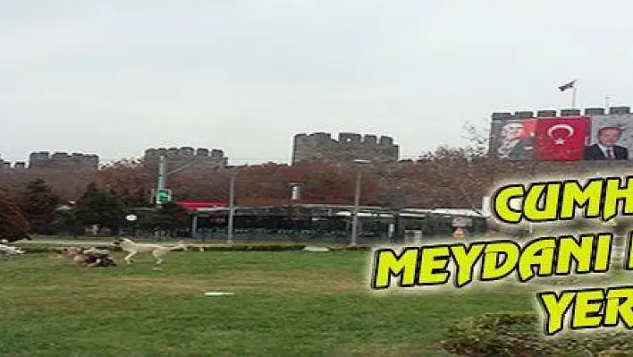 CUMHURİYET MEYDANI KÖPEKLERİN YERİ OLDU