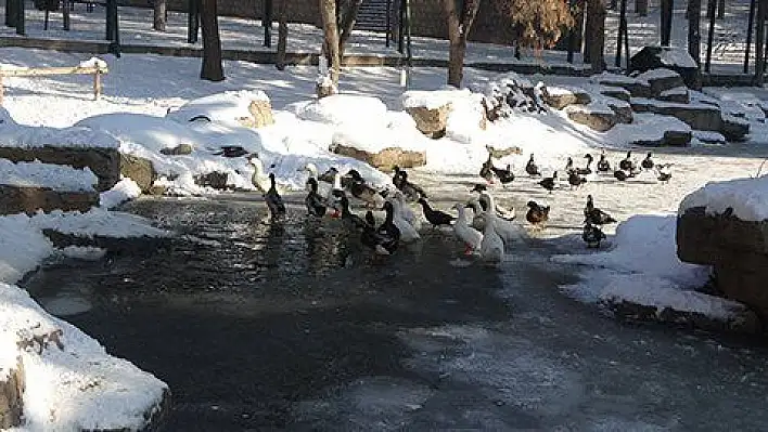 Kayseri buz tuttu