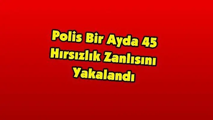 Polis Bir Ayda 45 Hırsızlık Zanlısını Yakalandı