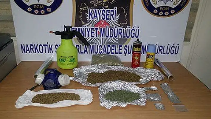 Kayseri'de uyuşturucu operasyonuna 1 gözaltı  