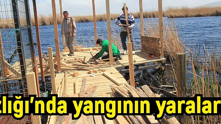 Sultan Sazlığı'nda yangının yaraları sarılıyor