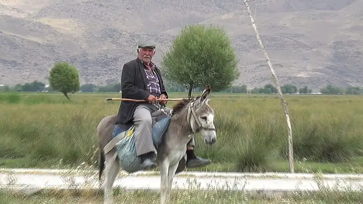 Sultan Sazlığı'na 78'lik çoban