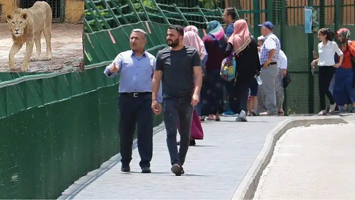 Cumhurbaşkanı Erdoğan'ın aslanlarına yoğun ilgi