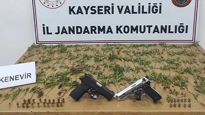 Kenevir yetiştiren şahıslara gözaltı