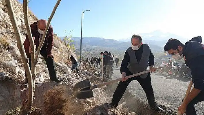 Ali Dağı'nda 20 bin ağaç daha toprakla buluştu