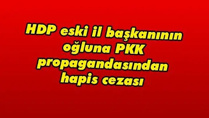 HDP eski il başkanının oğluna PKK propagandasından hapis cezası 