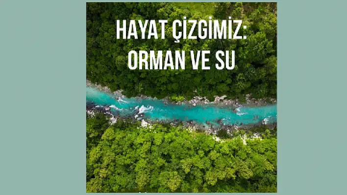 'Ormanların tahrip edilmesi salgınları beraberinde getirdi'