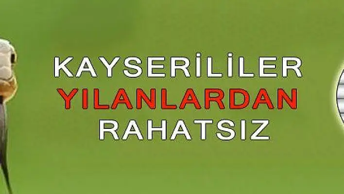 KAYSERİLİLER YILANLARDAN RAHATSIZ