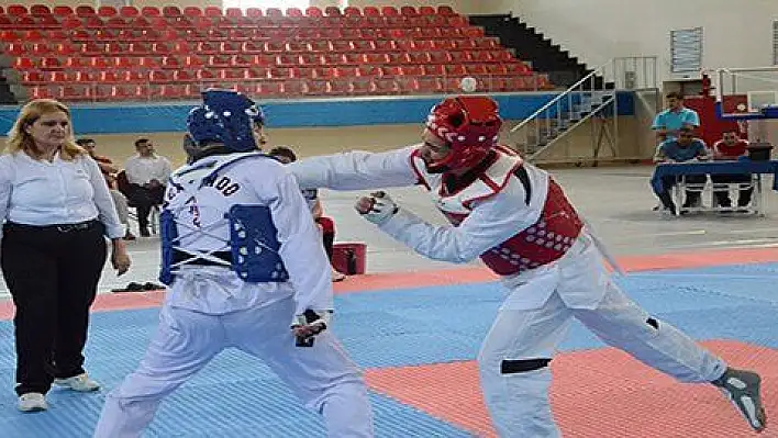 Taekwondo İl Birinciliği Başladı 