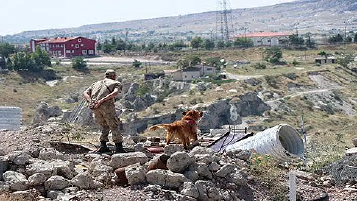 Hayat kurtaran köpekler 16 haftalık eğitimden geçiriliyor 