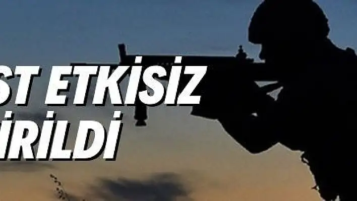 2 PKK/YPG'li terörist etkisiz hale getirildi