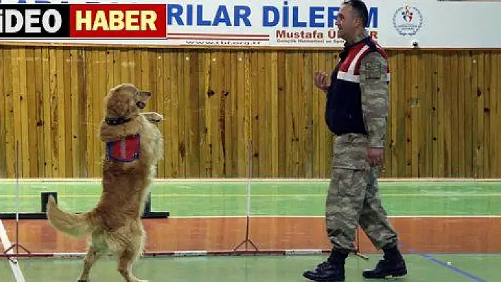 JANDARMADAN KÖPEKLERLE GÖSTERİ