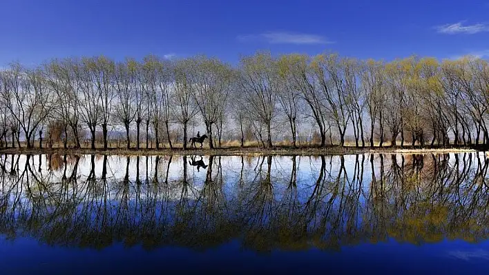 Büyükşehir tarafından düzenlenen fotoğraf yarışması sonuçlandı