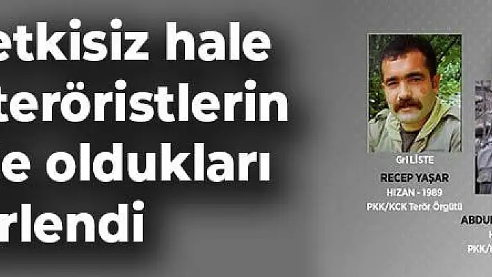 Bitlis'te etkisiz hale getirilen teröristlerin gri listede oldukları belirlendi