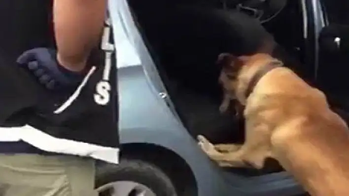 Uyuşturucuyu yakalatmamak için arka koltuklara zulaladılar 