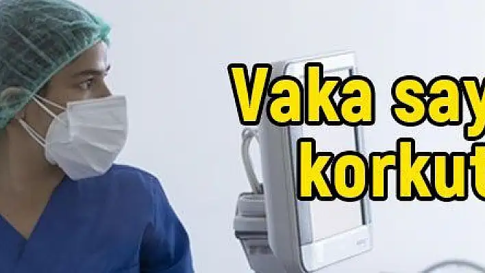 Vaka sayılarında korkutan artış