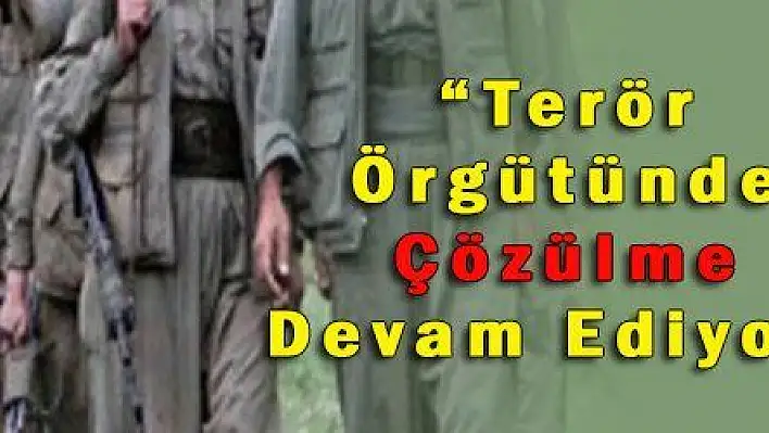 'Terör Örgütünde Çözülme Devam Ediyor' 