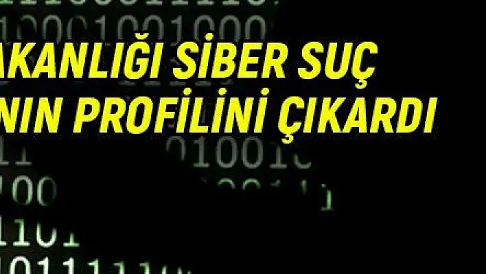 İçişleri Bakanlığı siber suç mağdurlarının profilini çıkardı