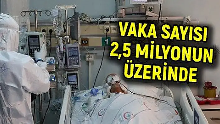 Dünyada toplam Kovid 19 vaka sayısı 2,5 milyonun üzerinde