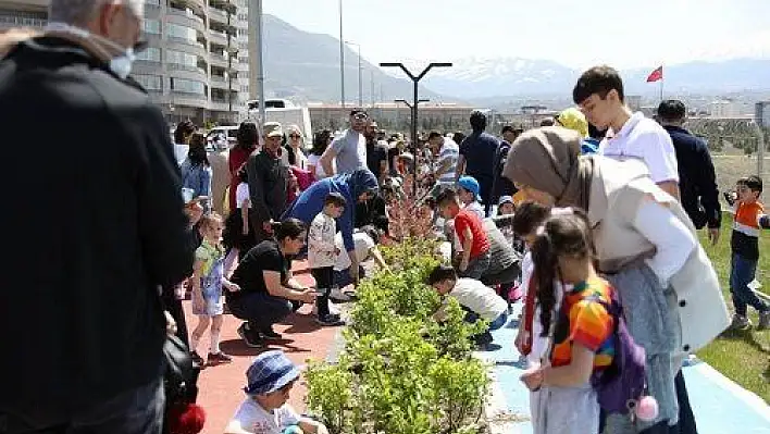 Minikler kendi elleriyle bitki dikti