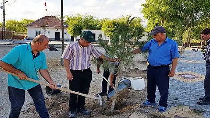 Sultan Sazlığı'na Fidan Dikimi Yapıldı 