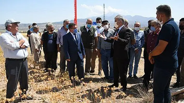 İncesu'da 'Aspir Bitkisi Tarla Günü' etkinliği düzenledi