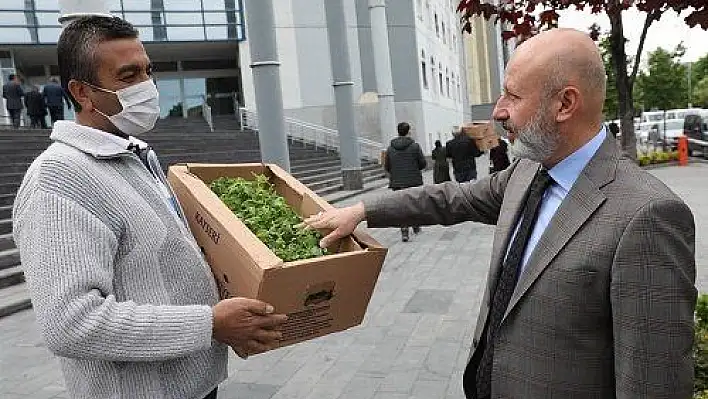 Kocasinan Belediyesi'nin dağıttığı fideler ürün verdi