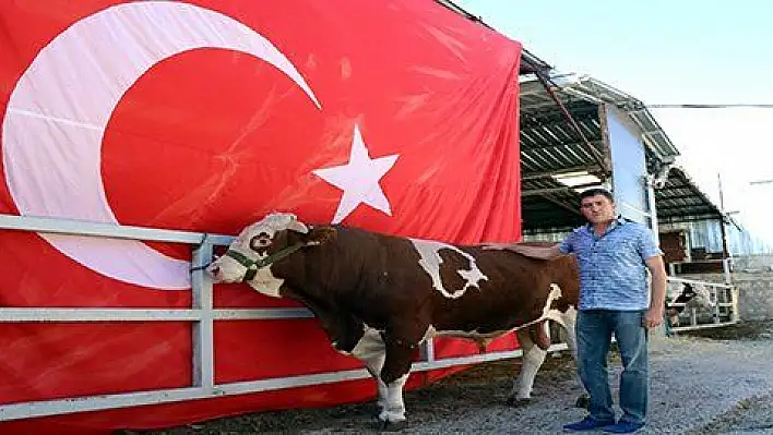 Üzerinde doğuştan ay ve yıldız olan 'Cesur' ilgi odağı oldu 