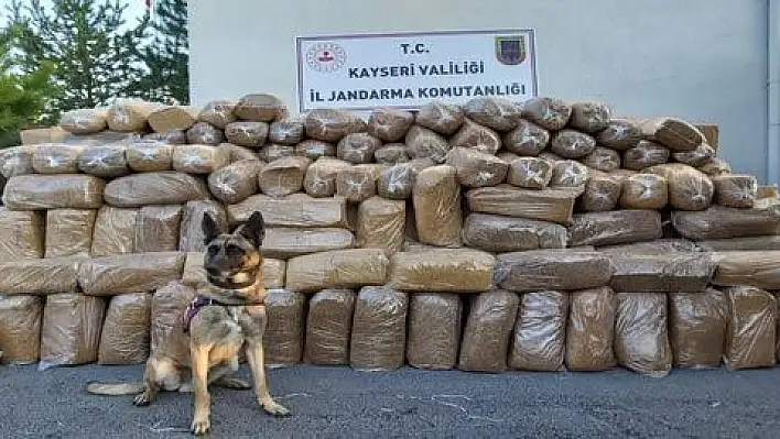 Kargo aracında 6 ton 280 kilogram tütün ele geçirildi