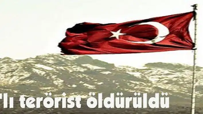 TSK: 12 DEAŞ'lı terörist öldürüldü