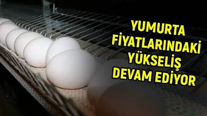 Yumurta tavuk fiyatlarını geçti